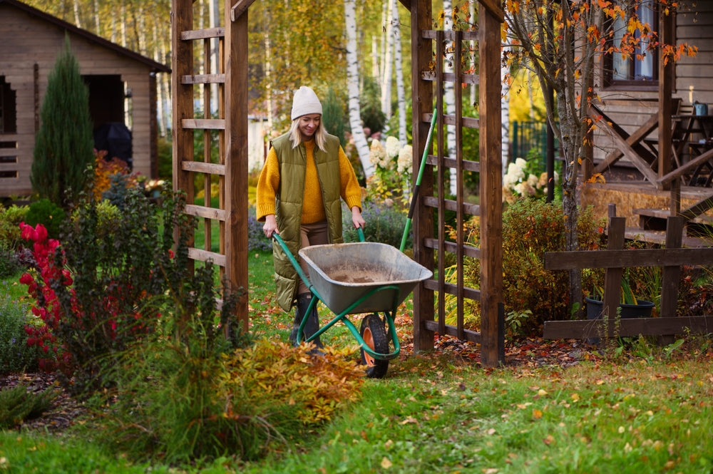 Garten im Herbst: Welche Gartenarbeit steht an?