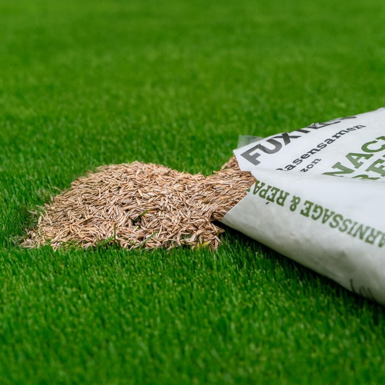 Osivo trávnikov FUXTEC FX-RSNR1 pre opätovný výsev a opravy