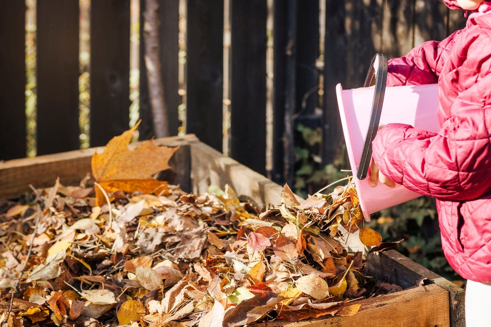 Laub kompostieren: Tipps & Tricks für Herbstlaub im Garten