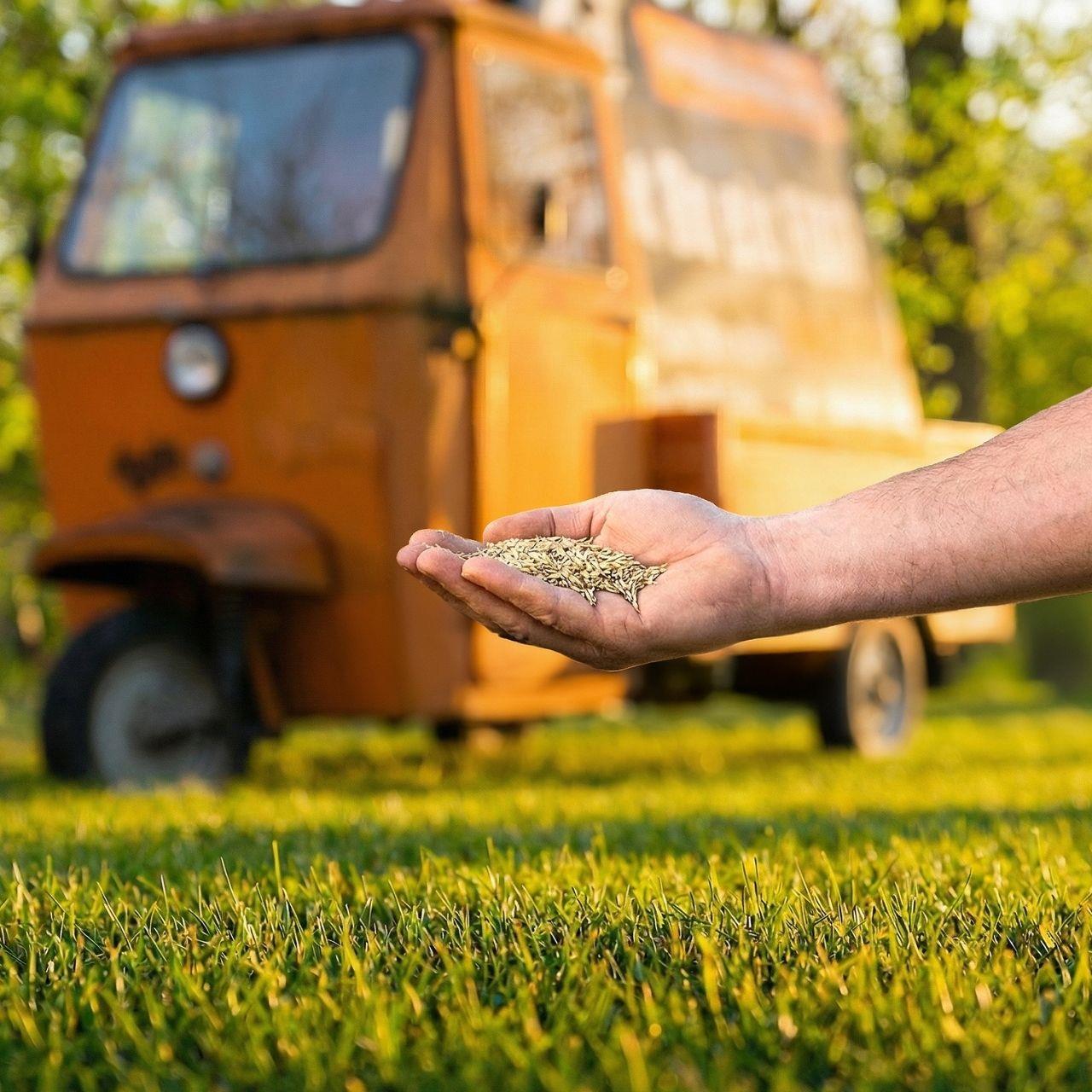 FUXTEC Rasensamen FX-RSSP5 5kg Spiel- & Sportrasen