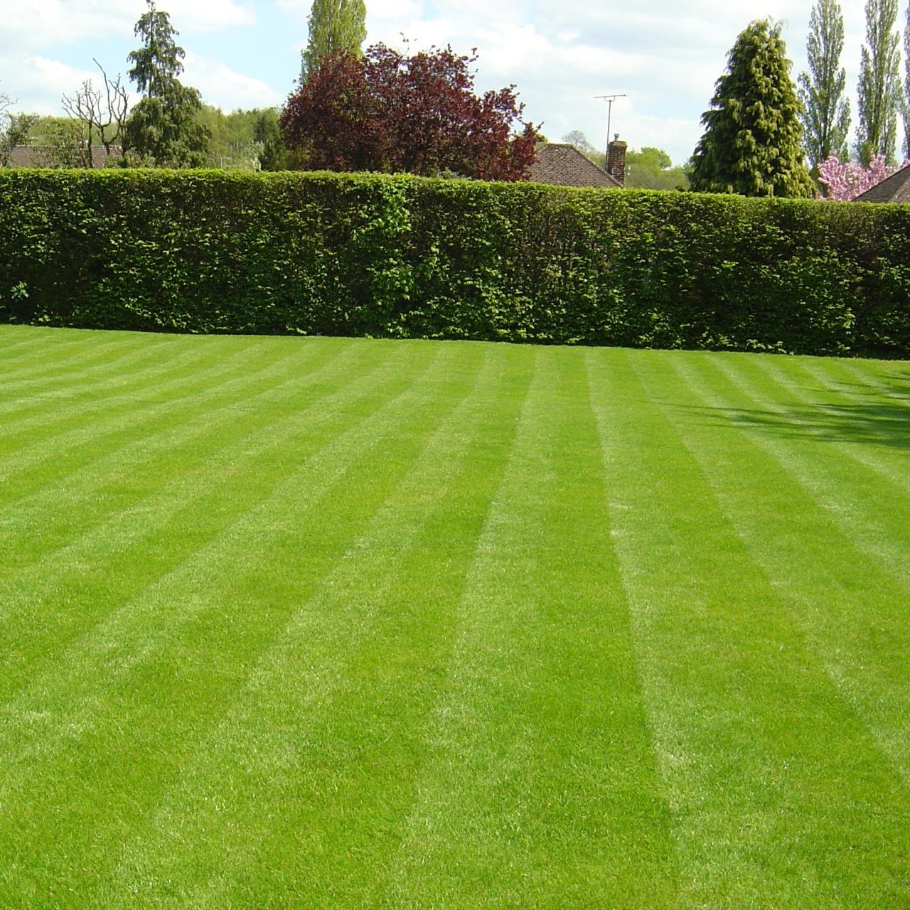 FUXTEC Trávnikové osivo Sport &amp; Play 10 kg