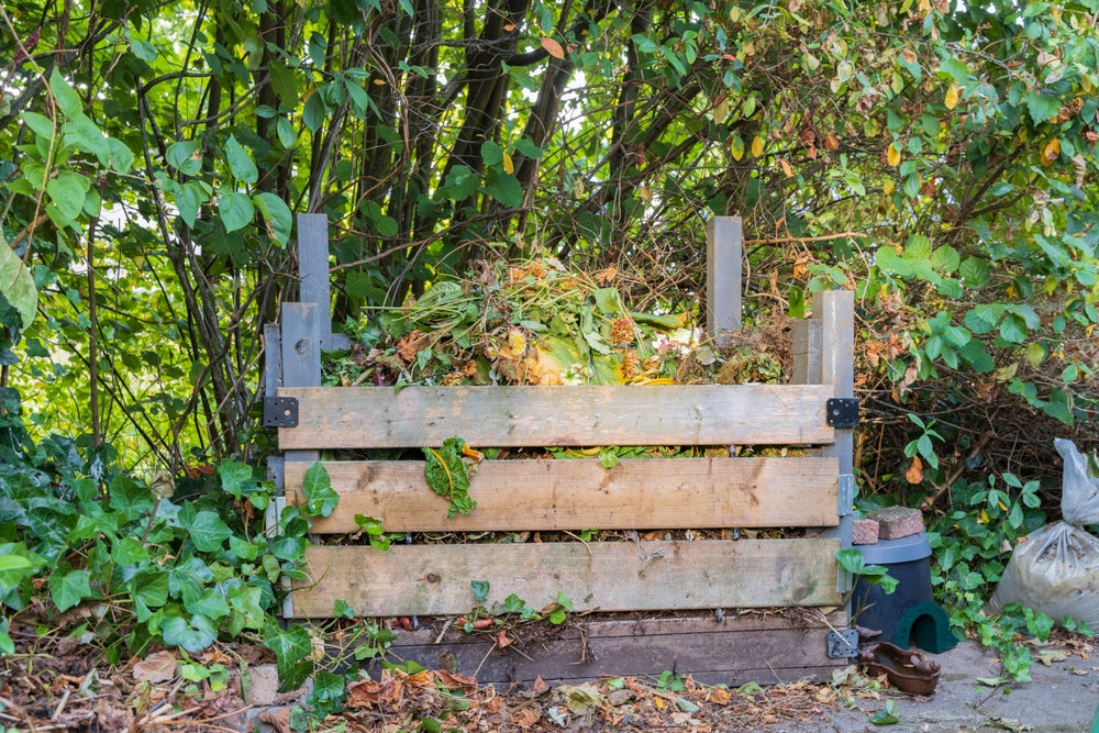 Kompost mit Herbstlaub